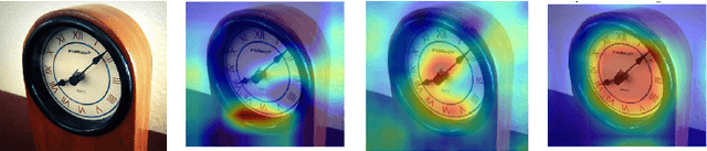 Figure 1 for Introducing and assessing the explainable AI (XAI)method: SIDU