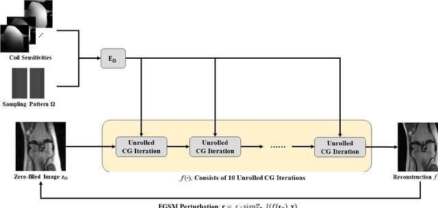Figure 1 for On Instabilities of Conventional Multi-Coil MRI Reconstruction to Small Adverserial Perturbations