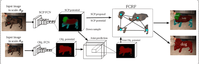 Figure 3 for Joint Object and Part Segmentation using Deep Learned Potentials