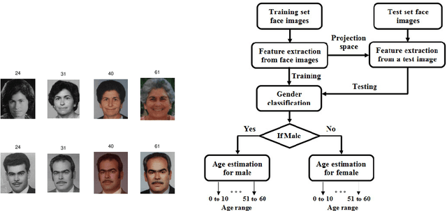 Figure 1 for Face Image Analysis using AAM, Gabor, LBP and WD features for Gender, Age, Expression and Ethnicity Classification