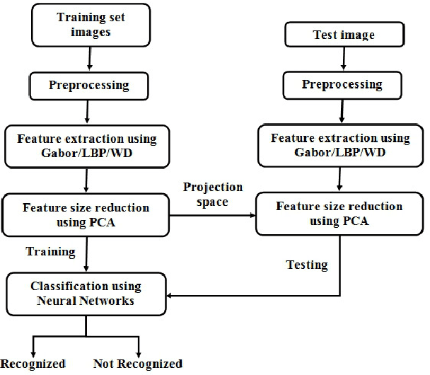 Figure 3 for Face Image Analysis using AAM, Gabor, LBP and WD features for Gender, Age, Expression and Ethnicity Classification