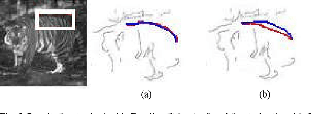 Figure 4 for Sub-pixel accuracy edge fitting by means of B-spline