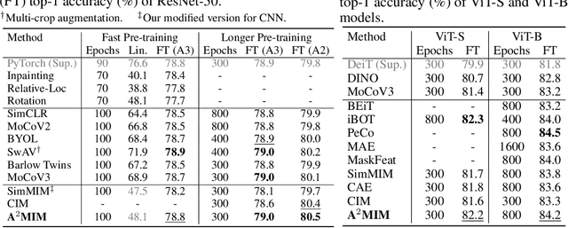 Figure 2 for Architecture-Agnostic Masked Image Modeling -- From ViT back to CNN