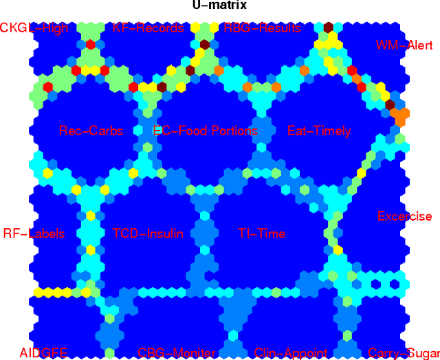 Figure 3 for Visualisation of Survey Responses using Self-Organising Maps: A Case Study on Diabetes Self-care Factors