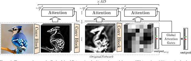 Figure 1 for Pay attention to the activations: a modular attention mechanism for fine-grained image recognition