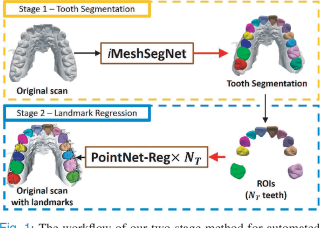 Figure 1 for Two-Stage Mesh Deep Learning for Automated Tooth Segmentation and Landmark Localization on 3D Intraoral Scans