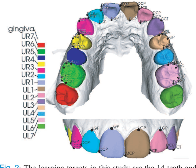 Figure 2 for Two-Stage Mesh Deep Learning for Automated Tooth Segmentation and Landmark Localization on 3D Intraoral Scans