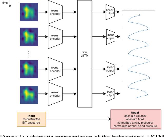 Figure 1 for Inferring respiratory and circulatory parameters from electrical impedance tomography with deep recurrent models
