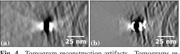 Figure 4 for Cryo-CARE: Content-Aware Image Restoration for Cryo-Transmission Electron Microscopy Data
