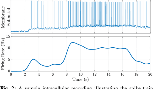 Figure 2 for Hierarchical Selective Recruitment in Linear-Threshold Brain Networks - Part I: Intra-Layer Dynamics and Selective Inhibition