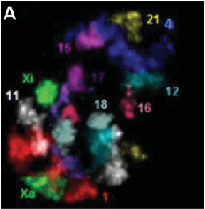 Figure 1 for A Unified Framework for Clustering Constrained Data without Locality Property