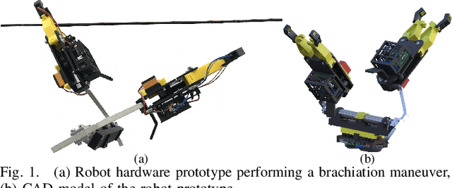 Figure 1 for Robust Control Synthesis and Verification for Wire-Borne Underactuated Brachiating Robots Using Sum-of-Squares Optimization