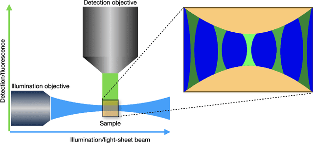 Figure 1 for Image reconstruction in light-sheet microscopy: spatially varying deconvolution and mixed noise