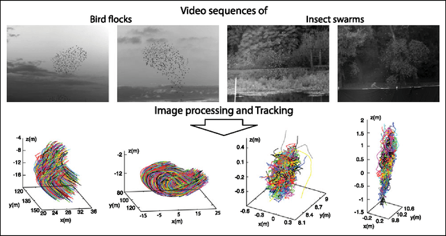 Figure 1 for GReTA - a novel Global and Recursive Tracking Algorithm in three dimensions