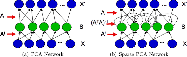 Figure 1 for A Single Model Explains both Visual and Auditory Precortical Coding