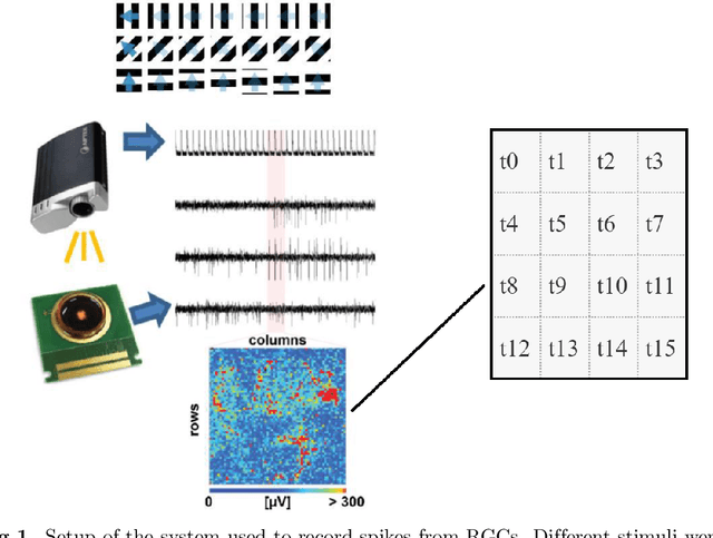 Figure 1 for Modeling Retinal Ganglion Cell Population Activity with Restricted Boltzmann Machines