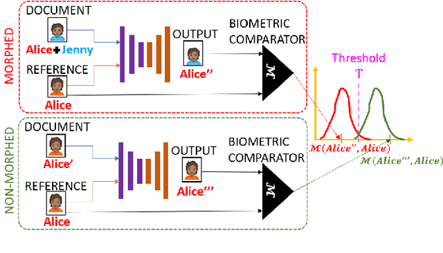 Figure 4 for Conditional Identity Disentanglement for Differential Face Morph Detection