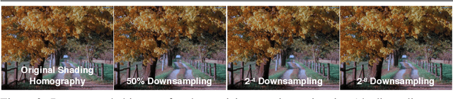 Figure 3 for Recoding Color Transfer as a Color Homography