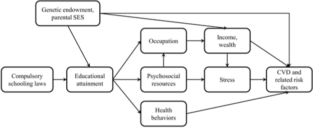 Figure 2 for Machine Learning in Population and Public Health