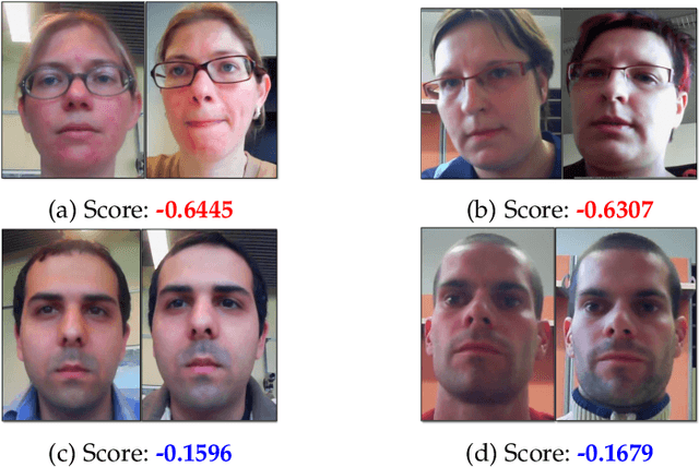 Figure 1 for Fairness in Biometrics: a figure of merit to assess biometric verification systems