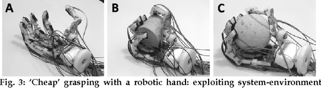 Figure 3 for The implications of embodiment for behavior and cognition: animal and robotic case studies