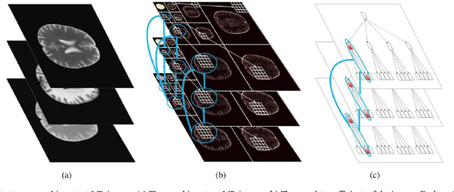 Figure 1 for Forest Sparsity for Multi-channel Compressive Sensing
