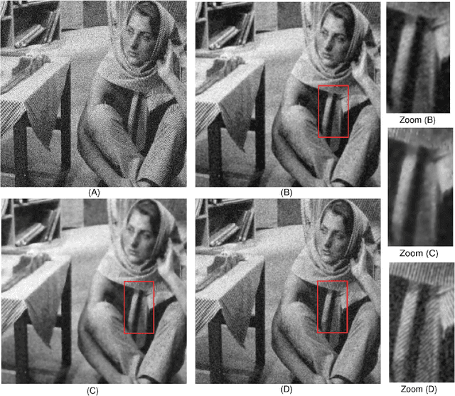 Figure 2 for Fast space-variant elliptical filtering using box splines