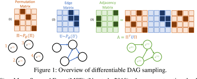 Figure 1 for Differentiable DAG Sampling