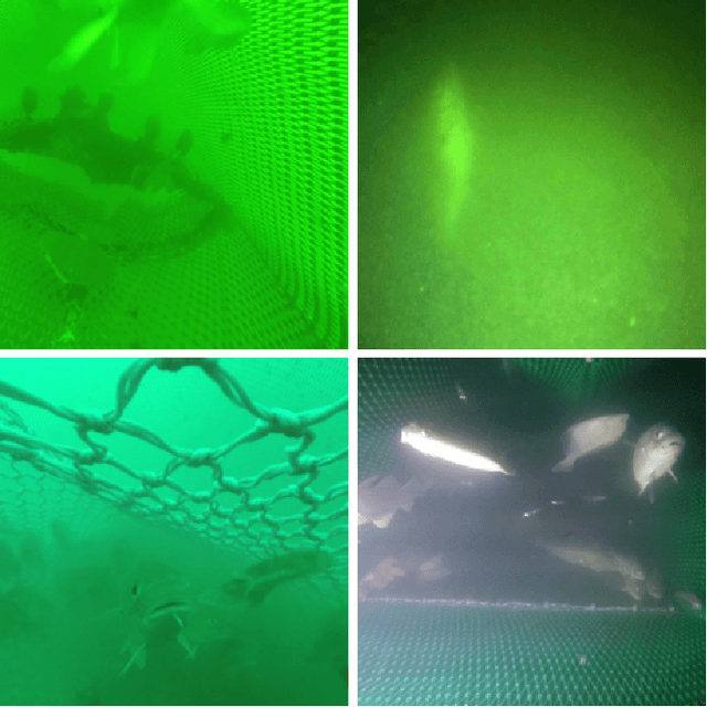 Figure 2 for Single Image Super-Resolution for Domain-Specific Ultra-Low Bandwidth Image Transmission