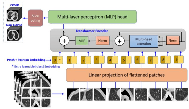 Figure 1 for COVID-VIT: Classification of COVID-19 from CT chest images based on vision transformer models