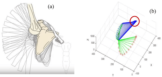 Figure 1 for A Computational Approach for Human-like Motion Generation in Upper Limb Exoskeletons Supporting Scapulohumeral Rhythms