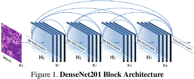 Figure 1 for Semi-Supervised Learning for Cancer Detection of Lymph Node Metastases