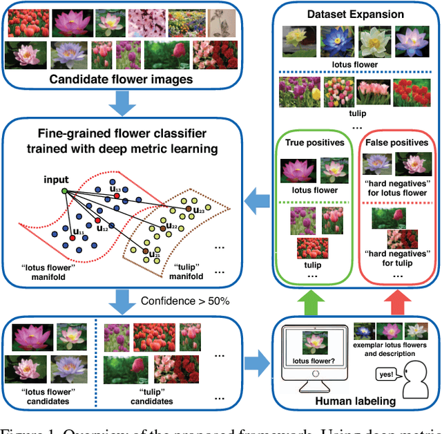 Figure 1 for Fine-grained Categorization and Dataset Bootstrapping using Deep Metric Learning with Humans in the Loop