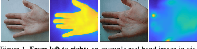 Figure 1 for Thermal Features for Presentation Attack Detection in Hand Biometrics