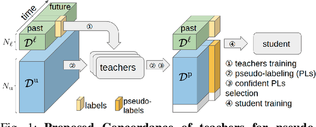 Figure 1 for Teachers in concordance for pseudo-labeling of 3D sequential data