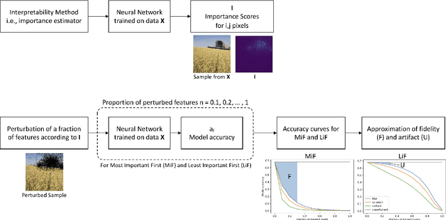Figure 1 for Evaluation of Interpretability Methods and Perturbation Artifacts in Deep Neural Networks