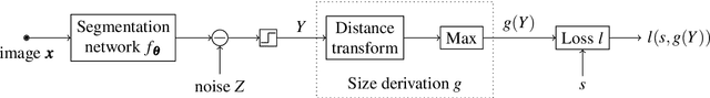 Figure 2 for Learning to segment from object sizes