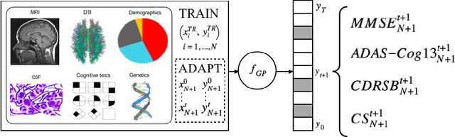 Figure 1 for Personalized Gaussian Processes for Future Prediction of Alzheimer's Disease Progression