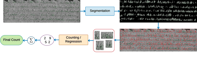 Figure 3 for DeepWheat: Estimating Phenotypic Traits from Crop Images with Deep Learning