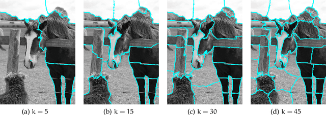 Figure 1 for Exploring and Exploiting Diversity for Image Segmentation