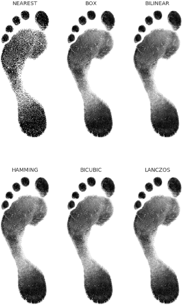 Figure 2 for Sexing Caucasian 2D footprints using convolutional neural networks