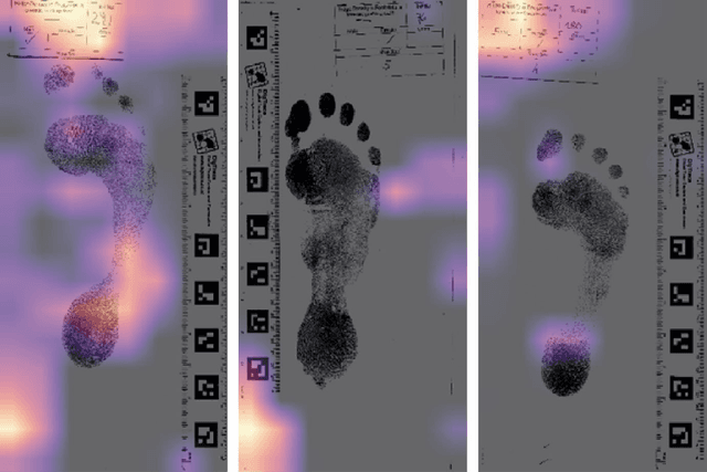 Figure 3 for Sexing Caucasian 2D footprints using convolutional neural networks