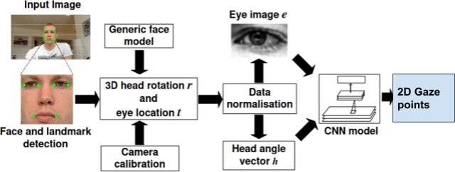 Figure 1 for Effect Of Personalized Calibration On Gaze Estimation Using Deep-Learning
