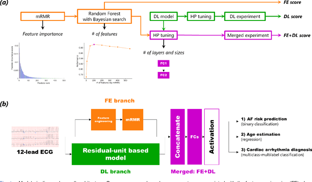 Figure 1 for On Merging Feature Engineering and Deep Learning for Diagnosis, Risk-Prediction and Age Estimation Based on the 12-Lead ECG