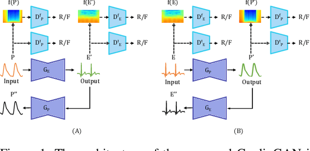 Figure 1 for CardioGAN: Attentive Generative Adversarial Network with Dual Discriminators for Synthesis of ECG from PPG