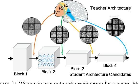 Figure 1 for Blockwisely Supervised Neural Architecture Search with Knowledge Distillation