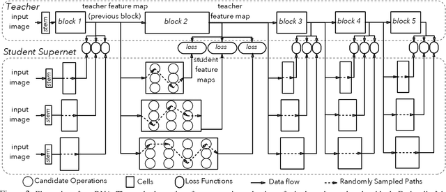 Figure 3 for Blockwisely Supervised Neural Architecture Search with Knowledge Distillation