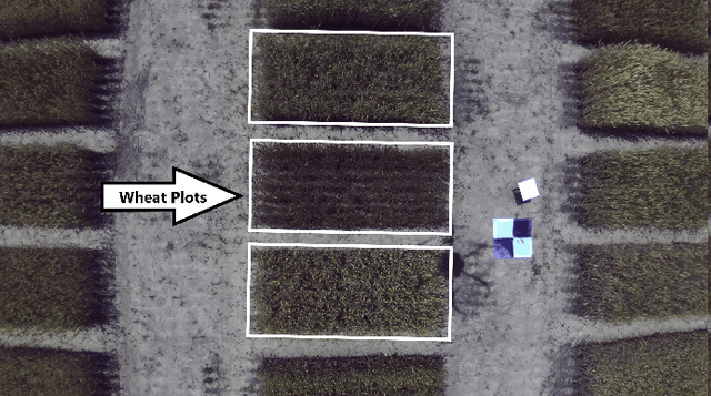 Figure 1 for Crop Height and Plot Estimation from Unmanned Aerial Vehicles using 3D LiDAR