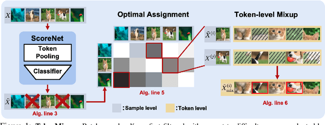 Figure 1 for TokenMixup: Efficient Attention-guided Token-level Data Augmentation for Transformers