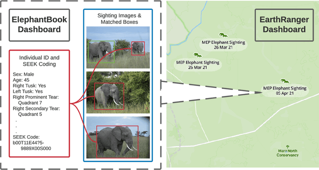 Figure 1 for ElephantBook: A Semi-Automated Human-in-the-Loop System for Elephant Re-Identification